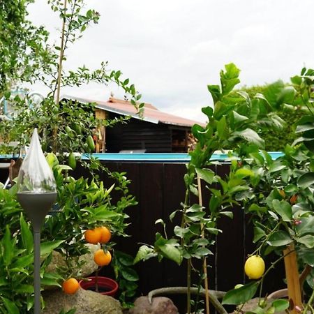 Pension Limone Ferienwohnung 1 Neu Lindenberg Екстериор снимка