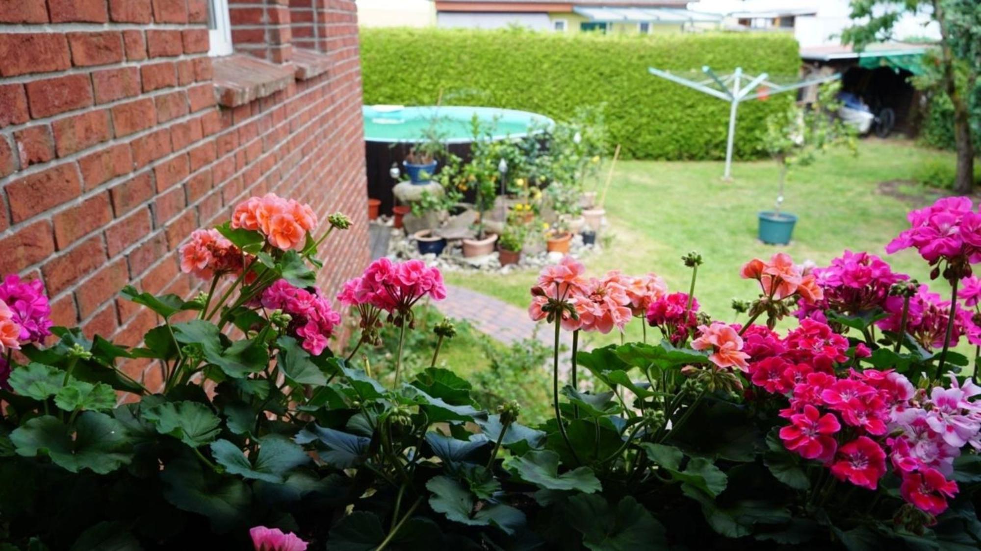 Pension Limone Ferienwohnung 1 Neu Lindenberg Екстериор снимка